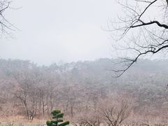 -棒棰岛宾馆景区