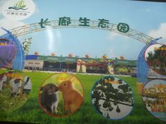 -长廊欢乐园