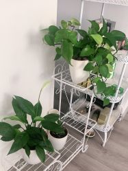 -她所·橙子美学·纹眉·美甲美睫