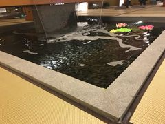 -汤泉良子(金源店)