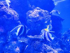 -成都浩海立方海洋公园