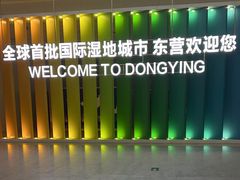 -东营胜利机场