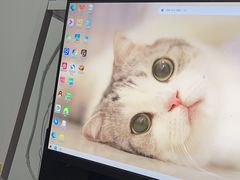 -骆驼日式搬家收纳整理