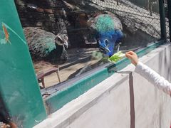 -北京鹿世界主题园