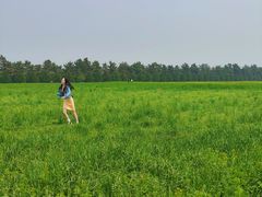 -汉长安城未央宫国家考古遗址公园