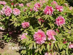 -济南植物园