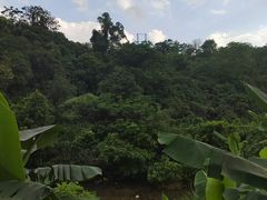 -象头山国家级自然保护区