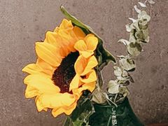 -望湘园·洞庭渔宴(浦江欢乐颂店)