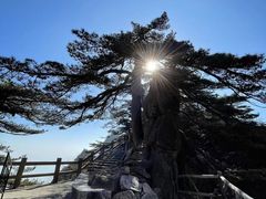 -黄山风景区