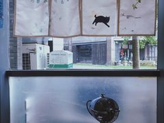 -猫里有甜