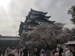 -名古屋城