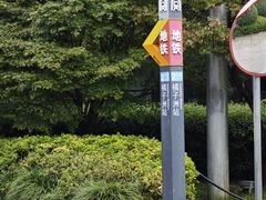 -橘子洲景区
