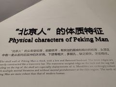 -北京周口店北京人遗址博物馆