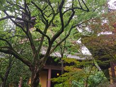 -岳王庙