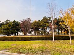 -永定门南广场