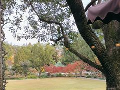 -申粤轩酒楼·三十年粤菜经典(丁香花园店)