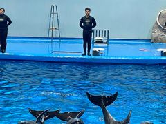 -福州罗源湾海洋世界旅游区