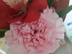 -何兮花店·气球派对鲜花店(马桥银春路万科城店)