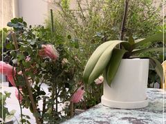 -Carmen卡门西班牙餐厅