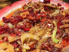 -柴窝堡22号辣子鸡·传承新疆菜