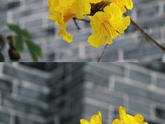 -华西坝(地铁站)