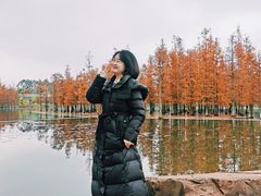 -白鹭湾湿地公园