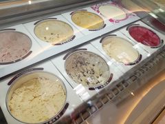 -哈根达斯(龙湖时代天街店)