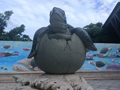 -广东惠东海龟国家级自然保护区