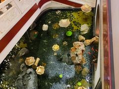 -冶春茶社(官园桥店)