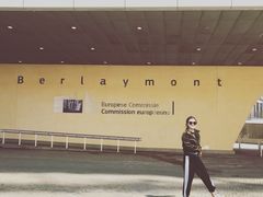 -新欧盟总部大厦