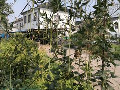 -祝甸砖窑文化馆