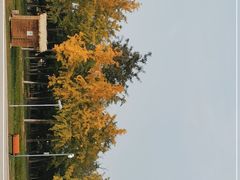 -西安浐灞国家湿地公园