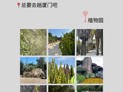 -中山路步行街