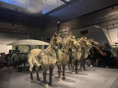 -秦始皇帝陵博物院-丽山园