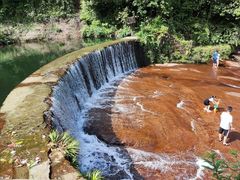 -汉中天台国家森林公园