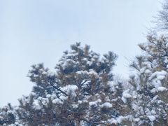 -绿堤公园