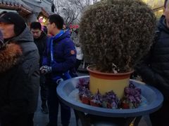 景点-南锣鼓巷