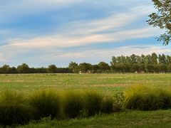 -汉长安城未央宫国家考古遗址公园