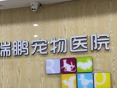 -瑞鹏宠物医院犬猫全科(真大分院)