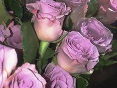 -循礼门鲜花花市(武汉循礼门店)