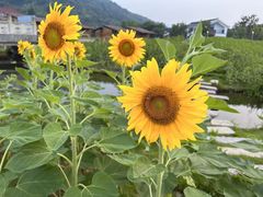 -山涧阁农家菜(南北湖店)