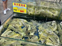 -东江海鲜酒家(艺都分店)