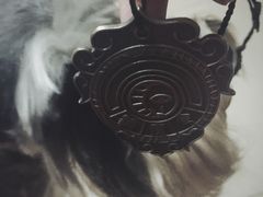 -长藤鬼校(千禧店)