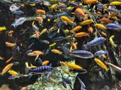 -太平洋海底世界