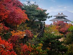 -九如山休闲旅游度假区