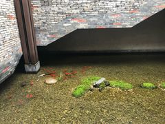 -几荷·恰似故人来(秀水广场店)