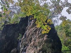 -光雾山旅游景区