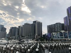 -墨尔本之星 观景摩天轮