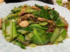 有机小白菜粉条-梅飞酒家(桑园路店)