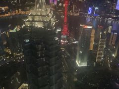 -上海柏悦酒店·世纪100牛排馆